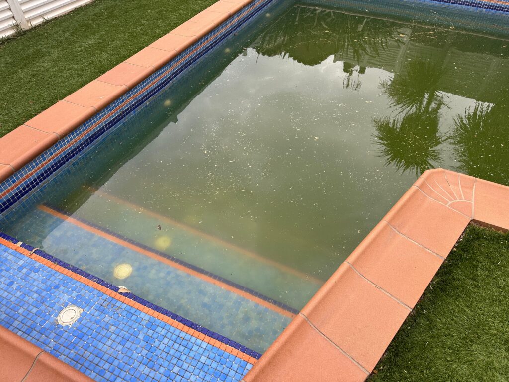 Detalle de la piscina antes de la renovación de la borada del gresite.